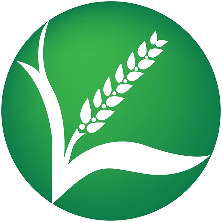 مطاحن روتانا للغلال